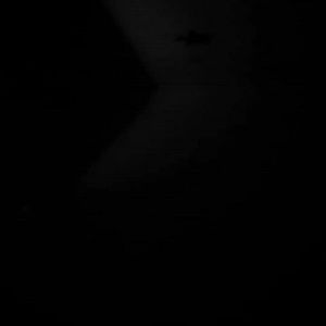 Meet your Posher, Sheree